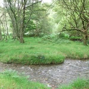 Meet your Posher, Kathleen kennedy